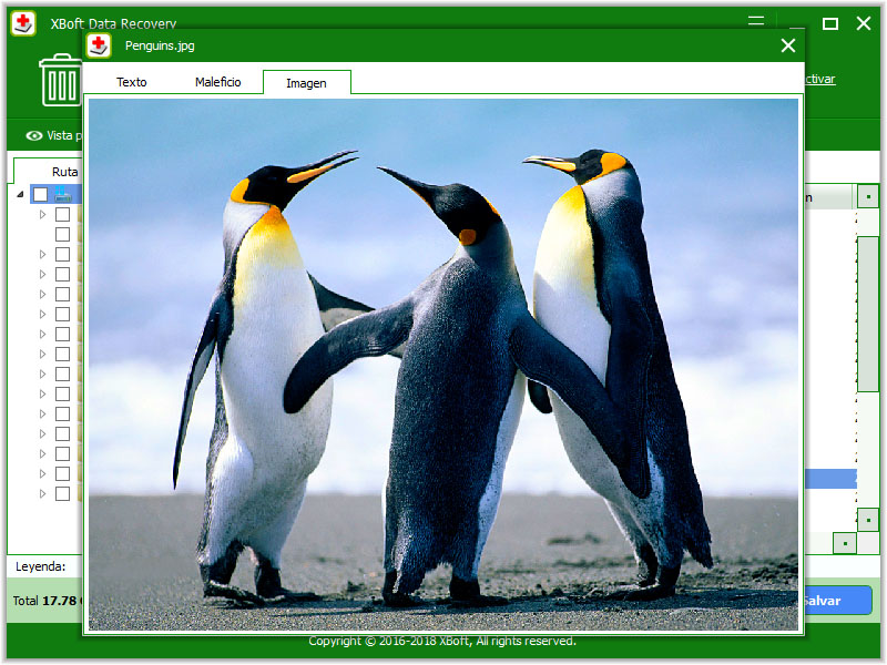 recuperación de datos xboft